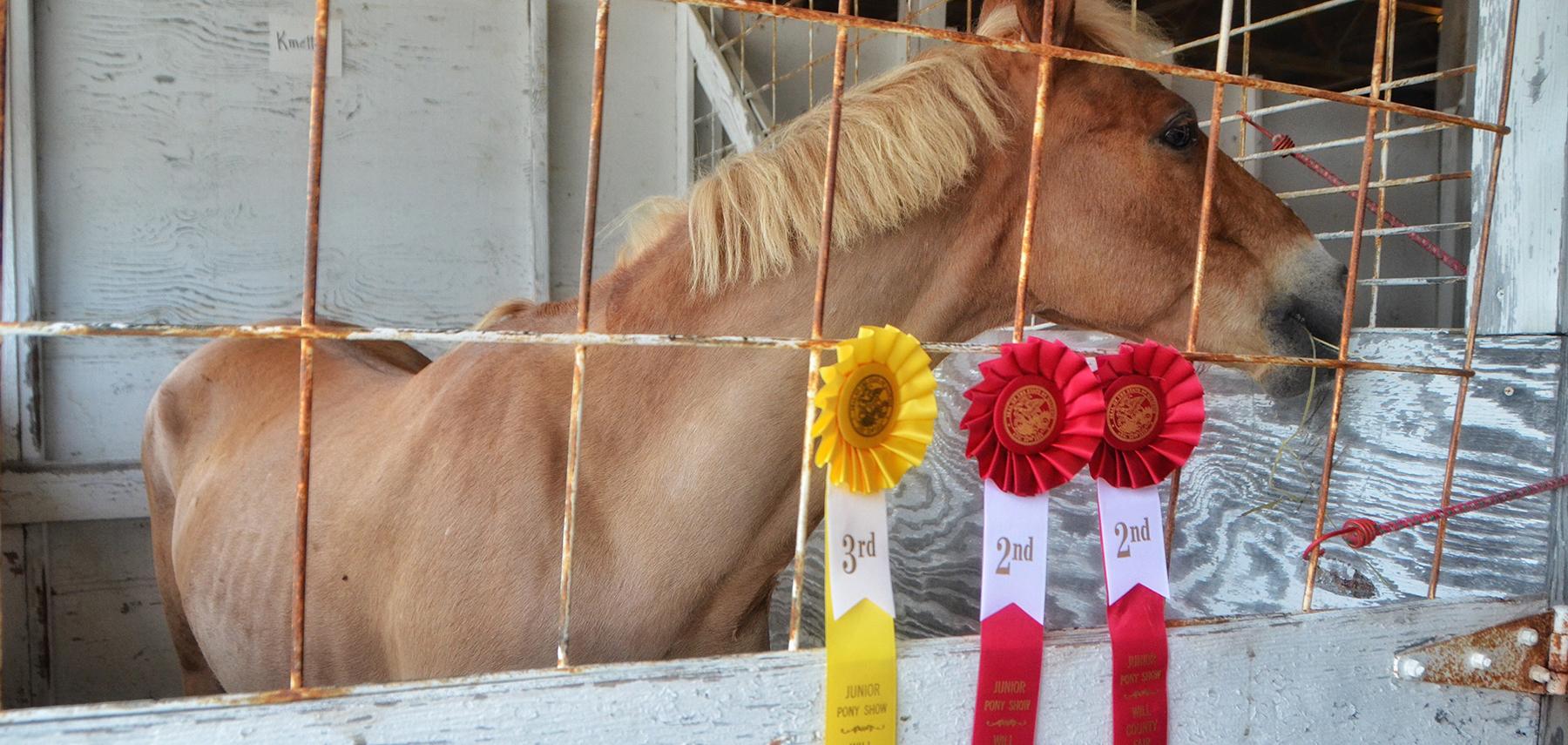 Photo: Will County Fair SV1600x855.jpg